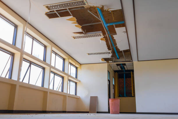 Best Water damage restoration near me  in Rochester, MN