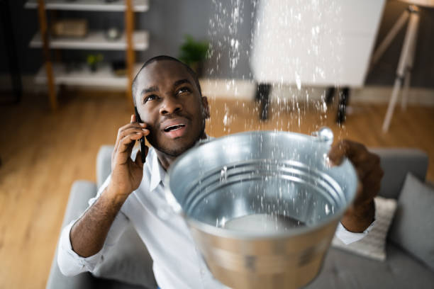 Best Water damage restoration cost  in Rochester, MN