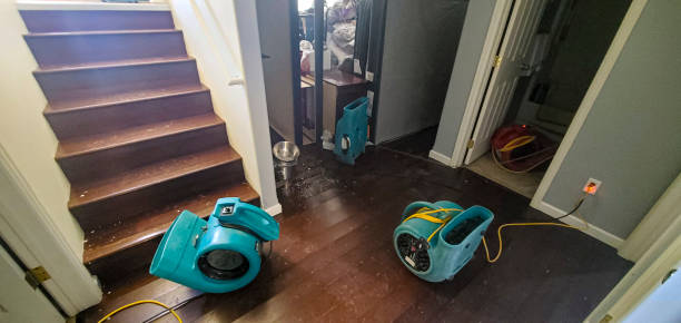 Best Mold removal after water damage  in Rochester, MN