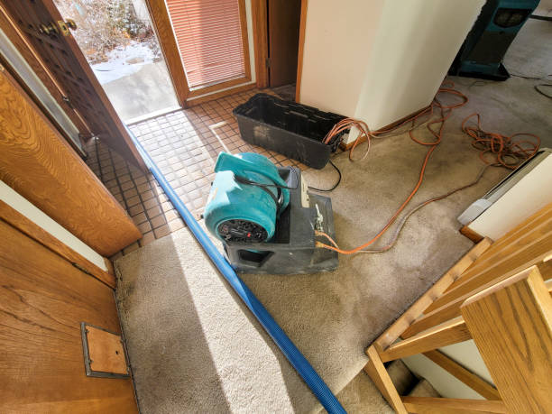 Best Fire Damage Restoration  in Rochester, MN