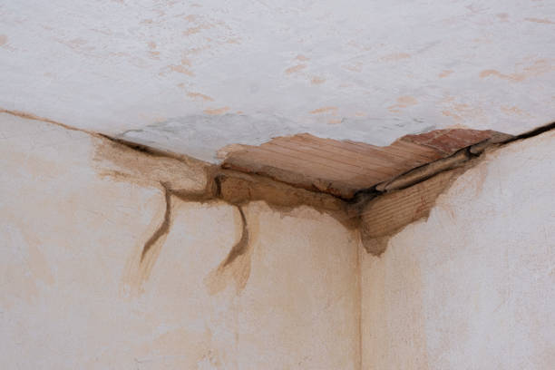 Best Sewage cleanup and water damage restoration  in Rochester, MN