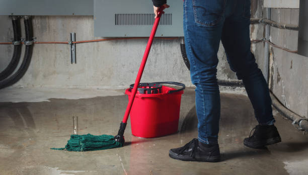 Best Basement water damage restoration  in Rochester, MN