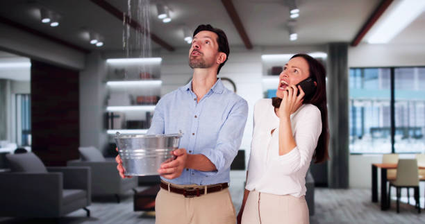 Best Water damage mitigation services  in Rochester, MN